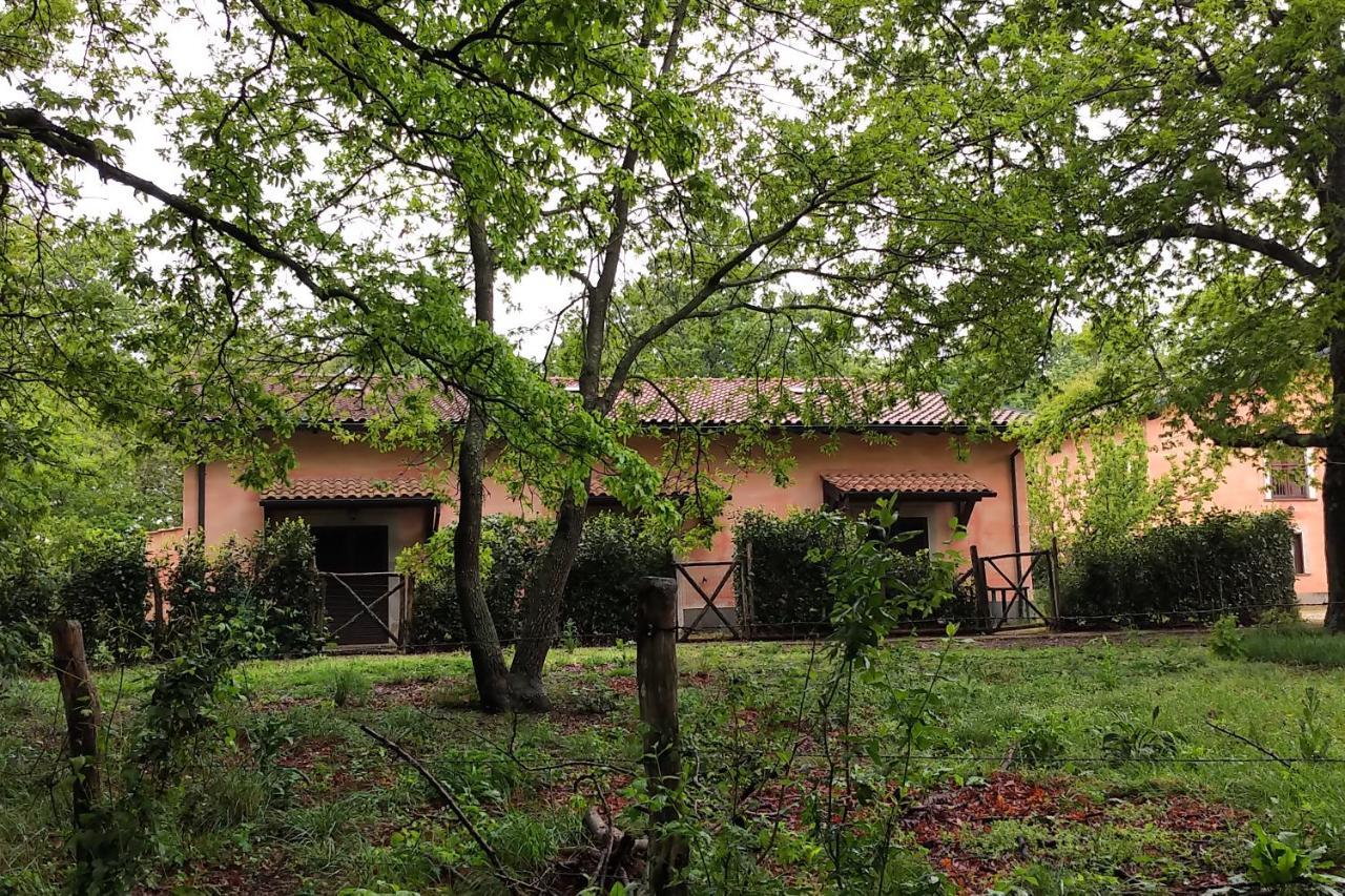 Agriturismo Tenuta Monte La Guardia Castel Giuliano Exterior photo